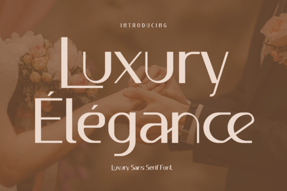 Luxury Élégance Font for Modern Web Design